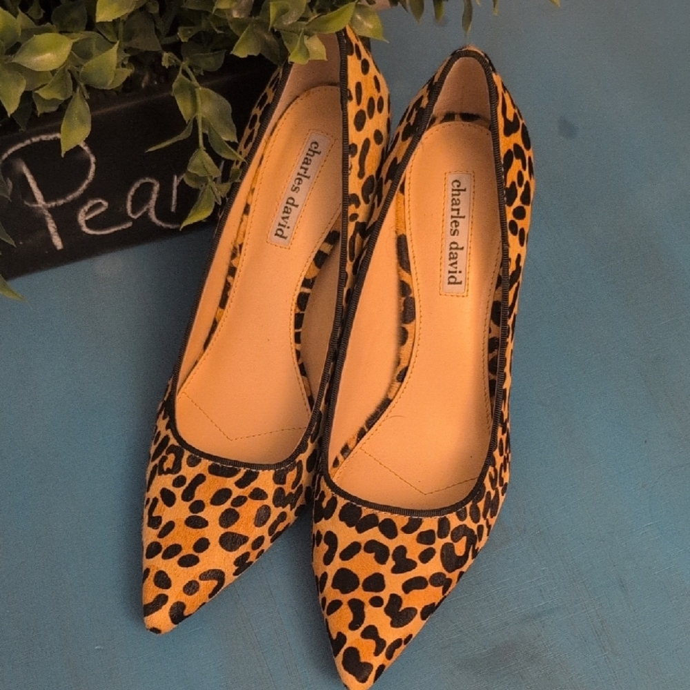 Charles David Brown and Black Heels Sleek Pointed-Toe Pumps